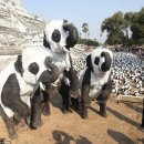 가학농장 이미지