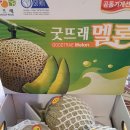 유림청과 이미지