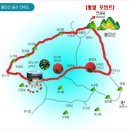 네비다라 이미지