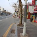 꽃다리슈퍼 이미지