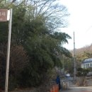 점봉체육관 이미지