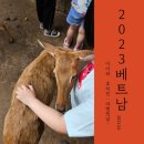 블루베리엔터테인먼트(주) | 아이와 베트남 호치민 여행 아시아나항공 비즈니스 클래스 이용 리뷰