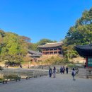 <아침 궁을 깨우다> 넷째 날 후기(10. 12. 토)