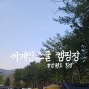 강림초 월현분교장 이미지