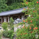 용담한옥 이미지