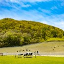 장관목장 이미지