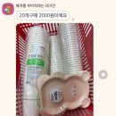 대성칼라(주) | [공지] 일상 포토덤프 / 몇 광년 동안 날 향해 날아온 별빛💫