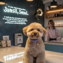 블루시엘 | 잠실에서 우리 강아지 미용 고민된다면?블루시엘 애견미용, 직접 다녀온 리얼후기!