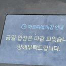 삼보광택 | 웨딩대작전 ep.13 영등포 신세계백화점 까르띠에 웨딩밴드 구매 / 어마어마한 꿀팁