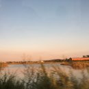 진흥목장 이미지