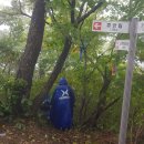 삼봉통나무산장