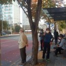 문정3차푸르지오아파트.송파파인타운1단지 이미지