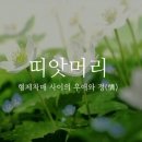 띠앗머리 네이버블로그