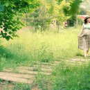 원썸머데이 이미지