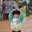 녹색산림문화관 네이버블로그