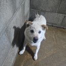 군산시-00817 이미지