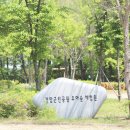 모아엘가더퍼스트 이미지