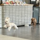 멍품유치원 이미지