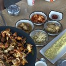 대왕주유소 | 가평조종면맛집 다우리 두루치기 아기랑 후기