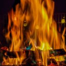 여울애꽃물들인 이미지