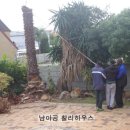 팜트리하우스 이미지
