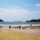 남해-310 이미지