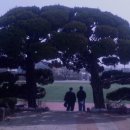 갈산중고등학교