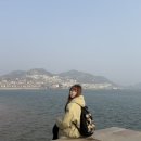 멍멍이 날다 이미지