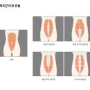 에코필라테스+동탄 | 에코필라테스 동탄
