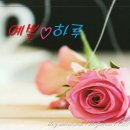 예쁜하루 - 서구 | 예쁜하루