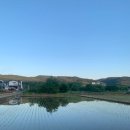 실라마실풀빌라 이미지