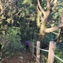 소전1리 이미지