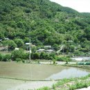 웅동마을 이미지