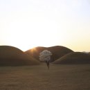 대릉원 Daum카페