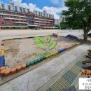 창우초등학교 이미지