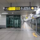 [인천여행] 서구 SK인천석유화학 벚꽃동산에서 벚꽃 나들이!