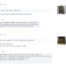 덕고산산양산삼