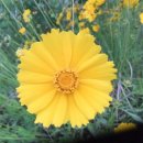 진우학원 이미지