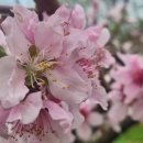 대은농장 이미지