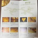 여행 : 동굴(대금굴, 환선굴) 예약 방법 및 관람후기 / 대금굴 모노레일 / 삼척 여행지 추천 / 동굴관광...
