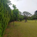 미적조경