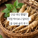 만삼 | 산삼 대신 만삼? 직접 먹어보니 달라진 몸 상태 솔직 후기