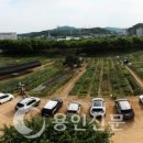 기흥농장 이미지