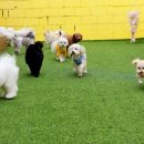 스토리 멍 이미지