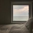 STAY1METER | 내가 보려고 올리는 제주도 숙소 정보 2