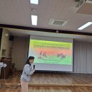 부산진초등학교 | 부산진초등학교 병설유치원 교사연수