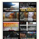 신영씨스템 이미지