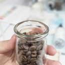 비온뒤숲속약국 | [부산향수공방]비온숲철학원&amp;타로