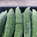 여주-0087 Daum카페