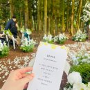 우리 결혼식(제주 야외 스몰 웨딩 준비하기)-2